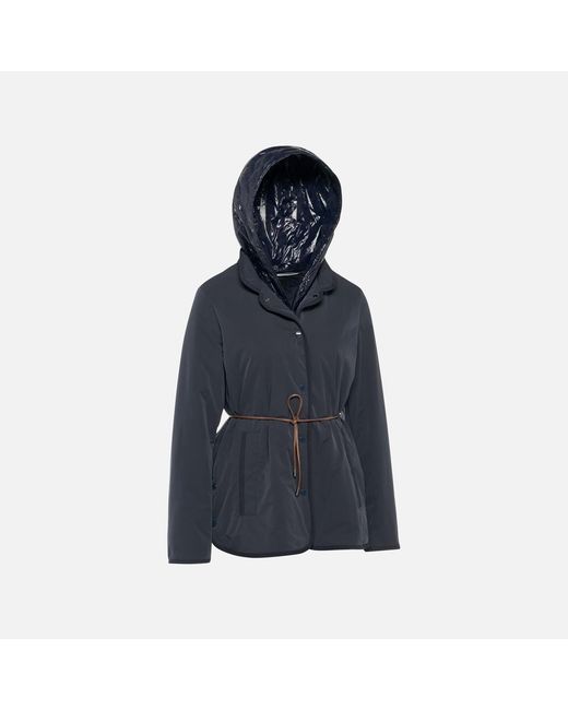 Geox Blue Plummery