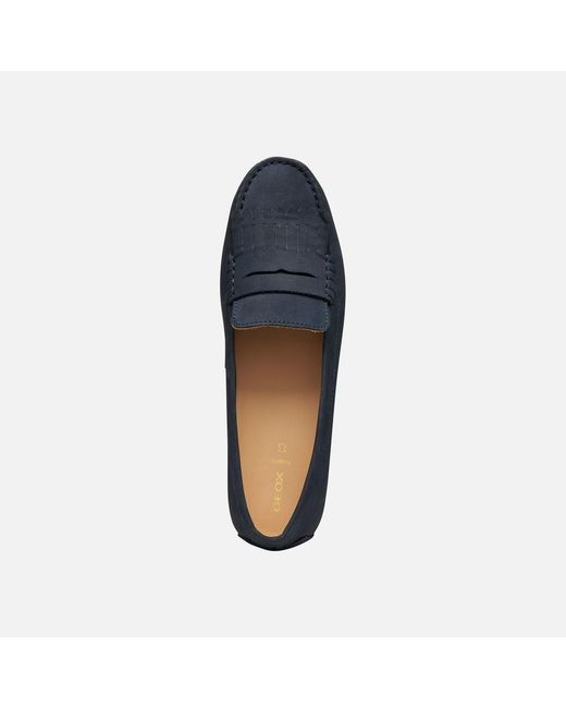 Geox Blue Kalistena