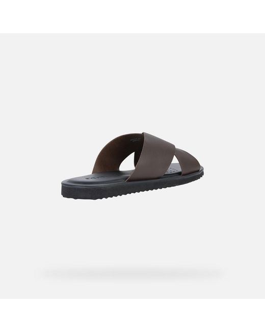 Geox Brown Erice for men