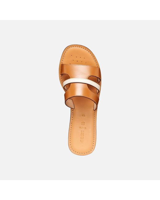 Geox Brown Maddalusia C Camel/Papyrus