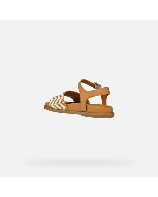 Geox Brown Adelash