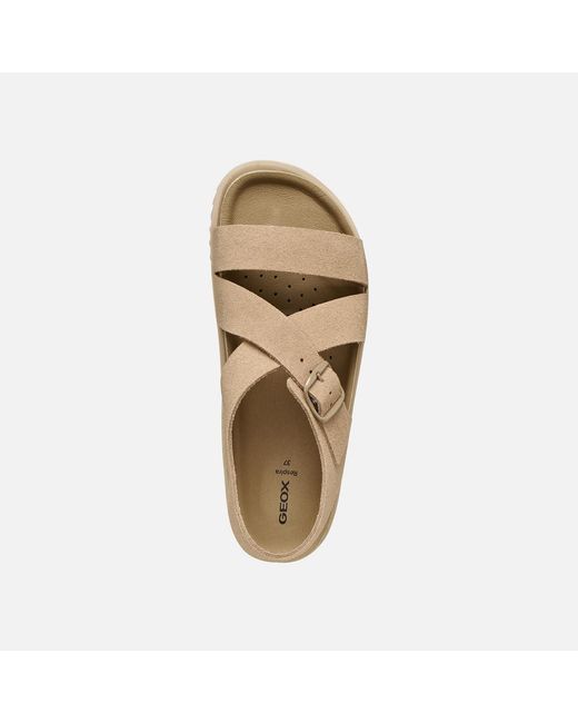 Geox Gray Sandybett