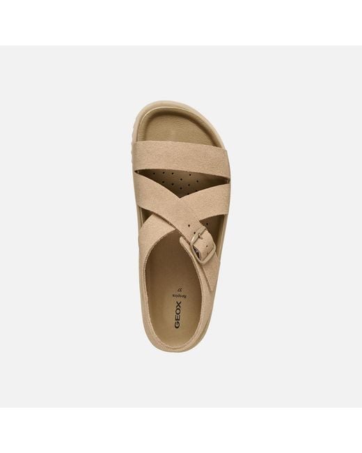 Geox Gray Sandybett