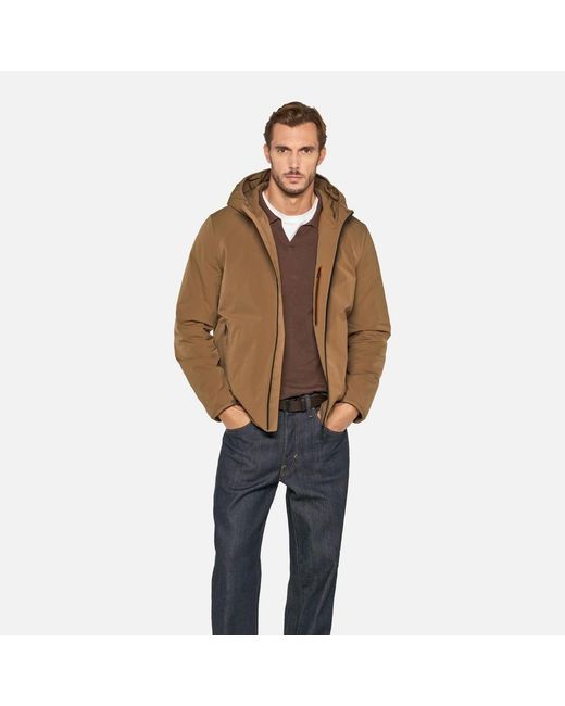 Geox Brown Spherica for men