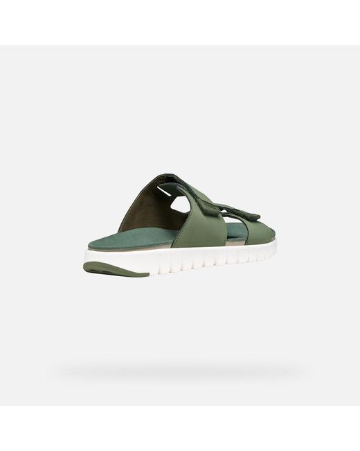 Geox Green Flextride S for men