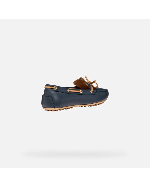 Geox Blue Kalistena