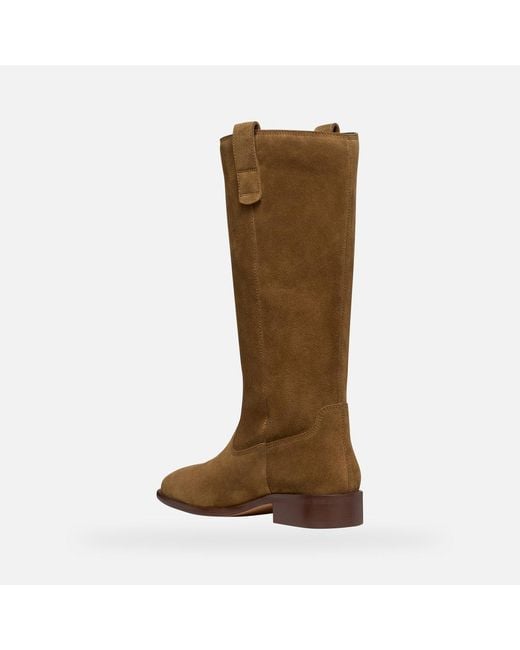 Geox Brown Schuhe Eliebeth Dame