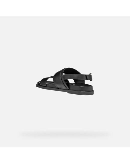 Geox Black Adelash