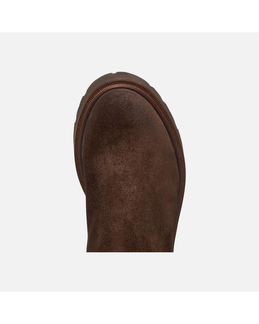 Geox Brown Norize