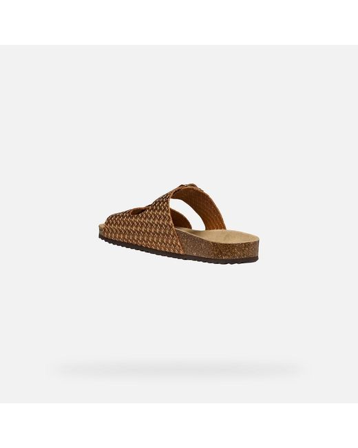 Geox Brown Brionia
