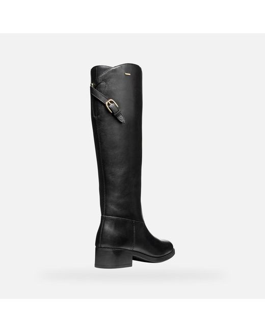 Geox Black Camexia Abx