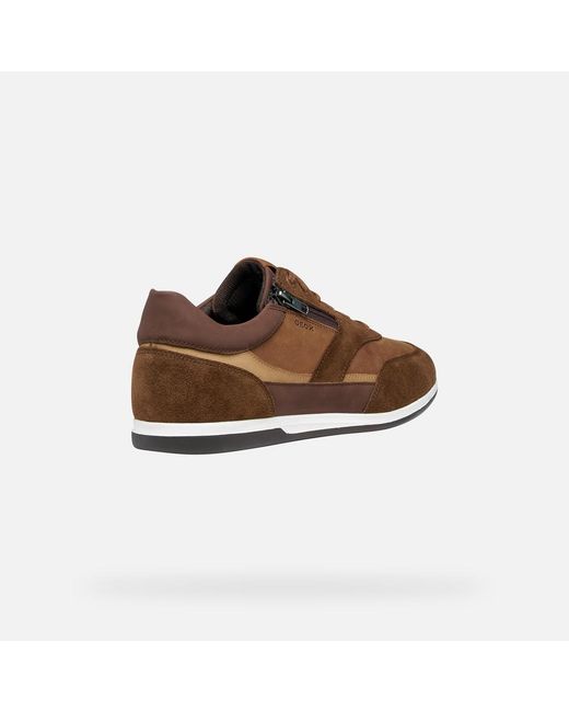 Geox Brown Renan for men