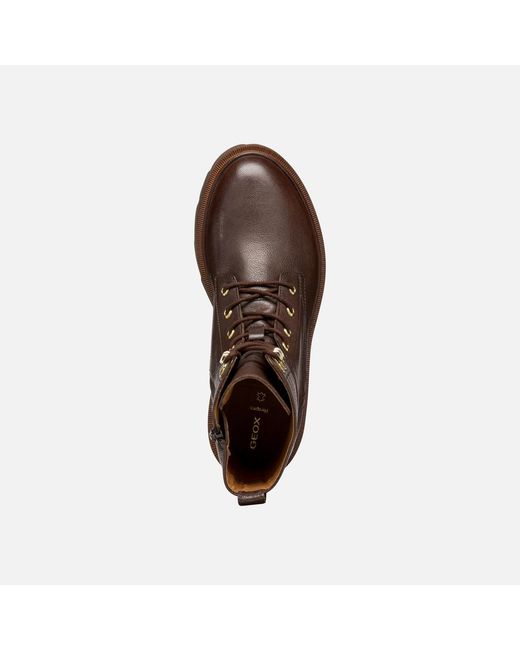 Geox Brown Norize
