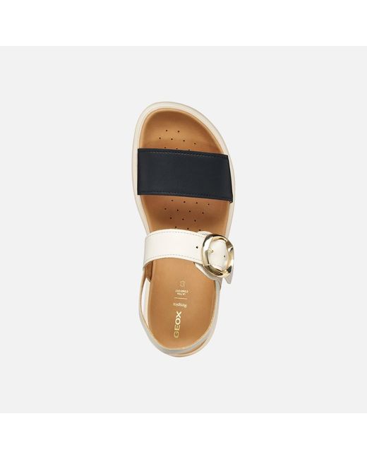 Geox Metallic Xand 2S