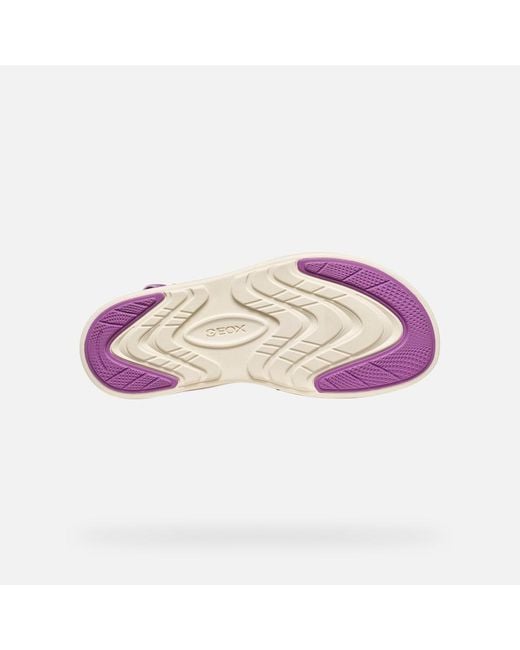 Geox Purple Climasandal Sprt