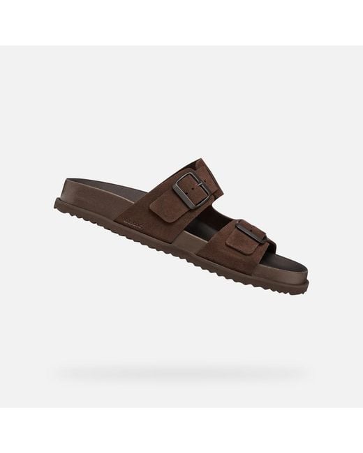 Geox Brown Parnaiba for men