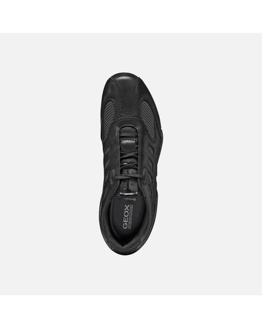 Geox Black Archive Snake