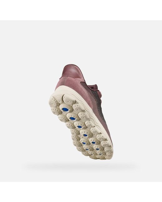 Geox Brown Spherica Plus