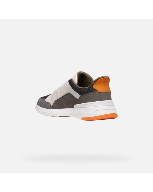 Geox Multicolor Vittour Plus Off/Dark for men