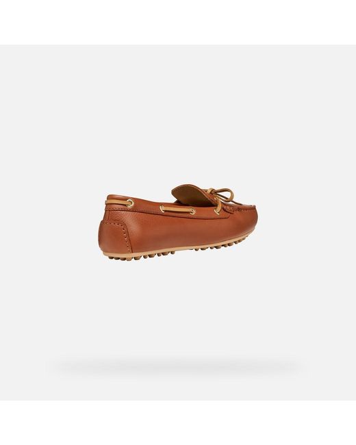 Geox Brown Kalistena
