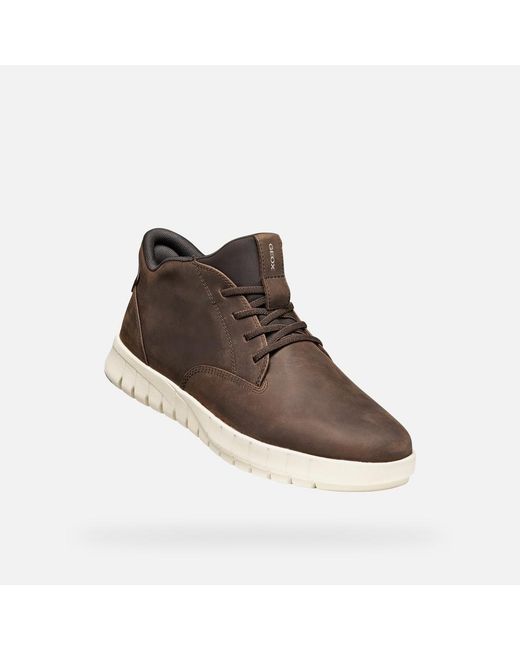 Geox Flextride Plus Herr in Brown für Herren