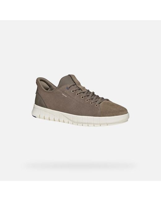 Geox Gray Flextride Plus for men