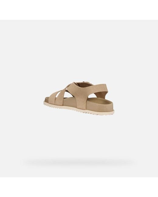 Geox Gray Sandybett