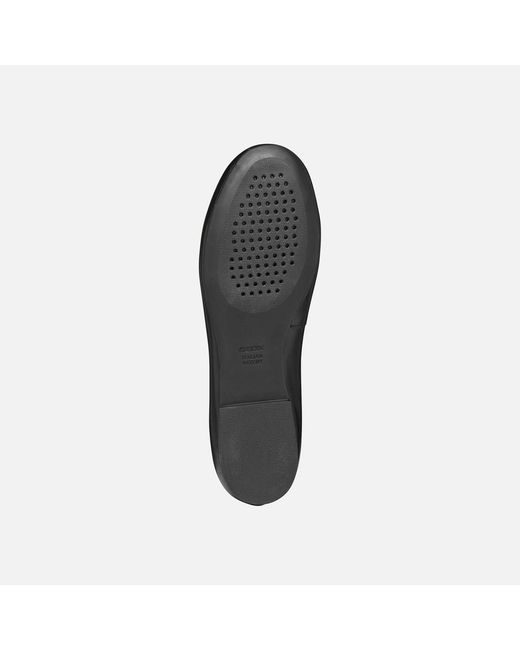 Geox Black New Palmaria