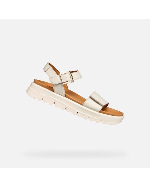 Geox Metallic Xand 2.1S