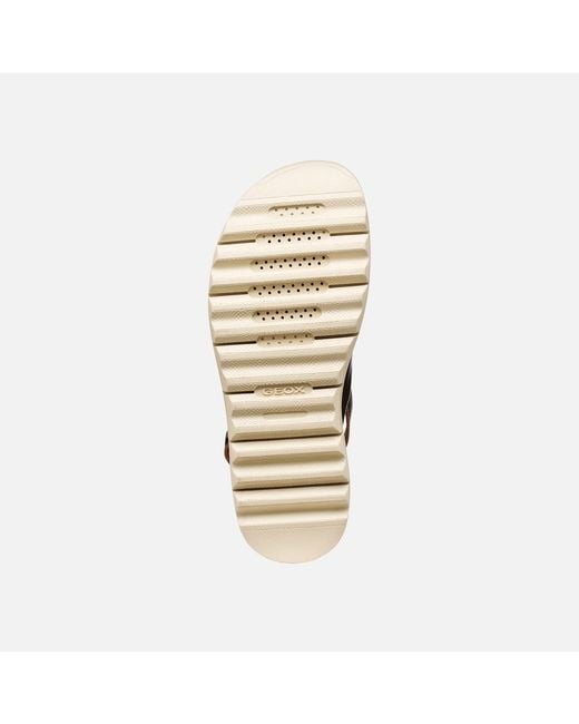 Geox Multicolor Xand 2.1S