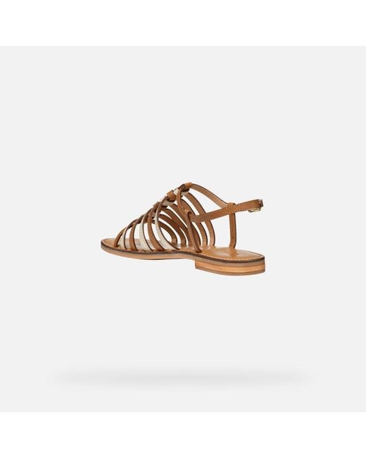 Scarpe Maddalusia C Donna di Geox in Brown