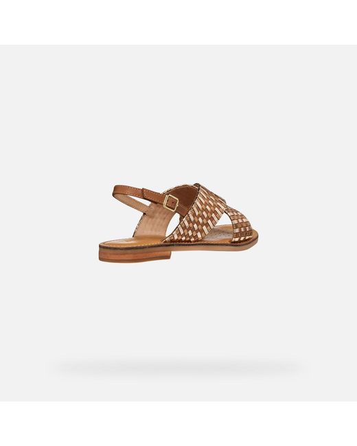 Geox Brown Maddalusia C