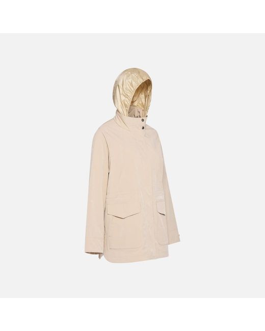Geox Natural Claudin