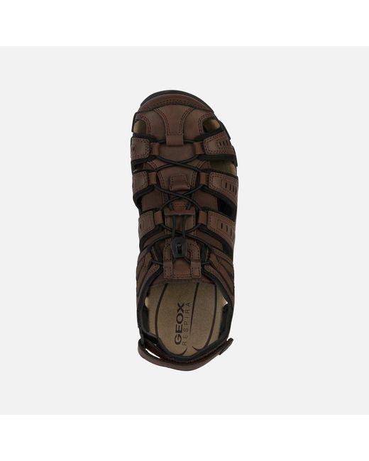 Geox Brown Strada for men