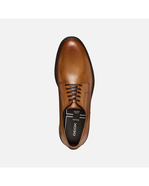 Geox Brown Walk Pleasure B for men