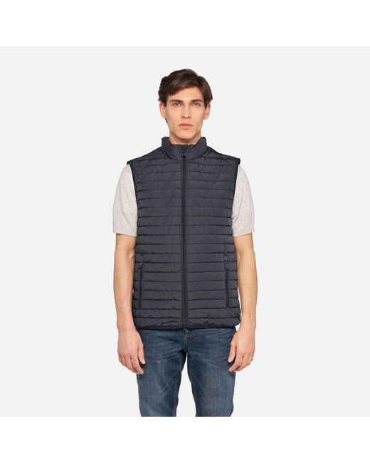Geox Gray Wilmer for men