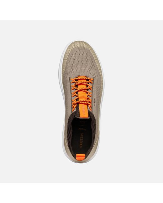 Spherica Homme Geox pour homme en coloris Brown