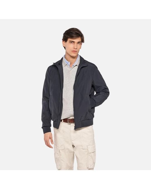 Geox Blue Vincit for men