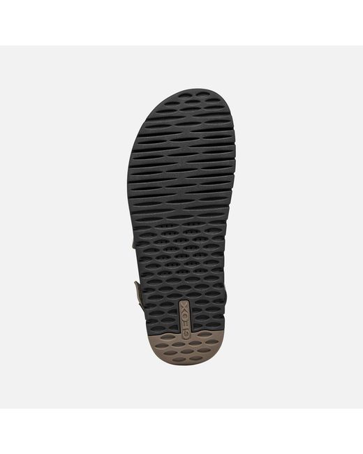 Geox Brown Flextride S for men
