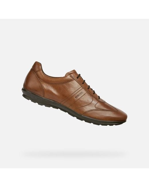 Geox Brown Symbol for men