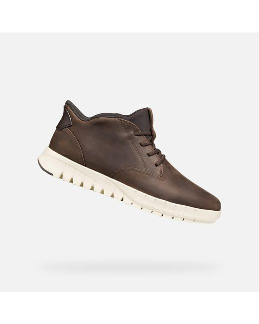 Geox Flextride Plus Herr in Brown für Herren