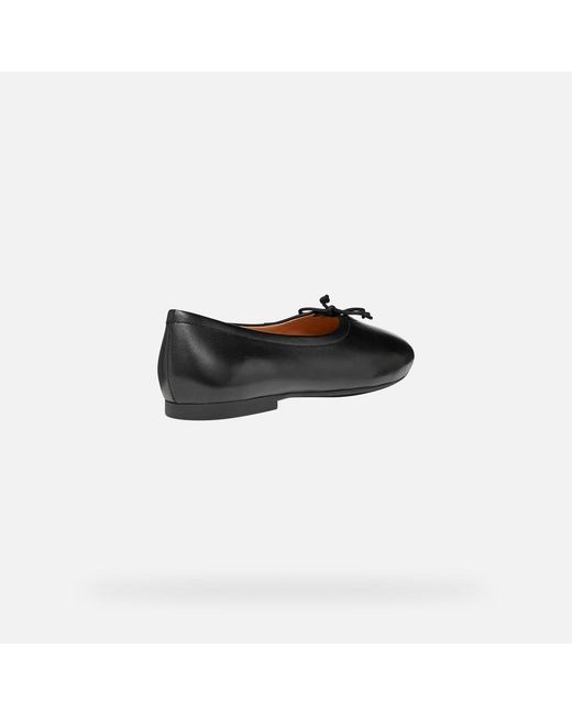Geox Black New Palmaria