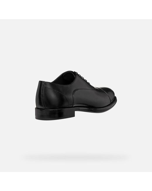 Geox Black Barberigo for men