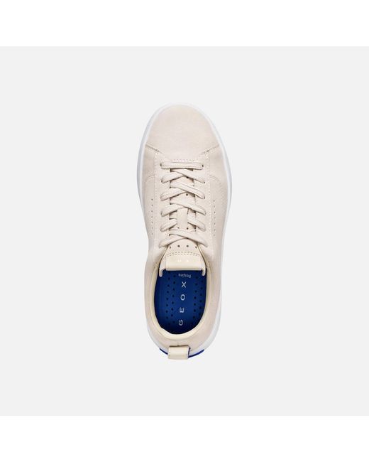 Geox Multicolor Gxcp-01