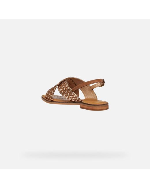 Geox Brown Maddalusia C