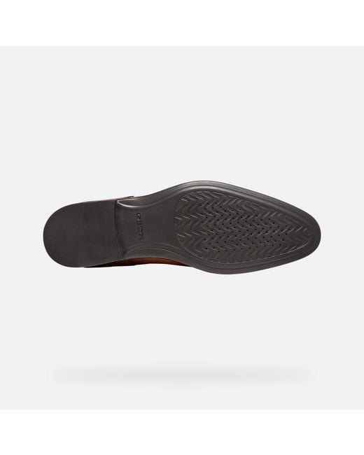 Geox Brown Thalos for men
