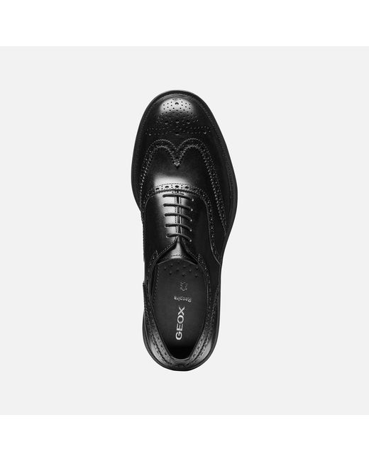 Geox Black Capitale for men