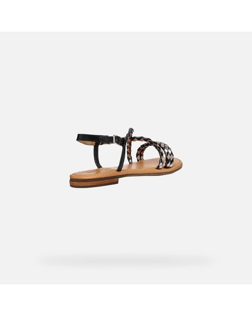 Geox Brown Sozy S