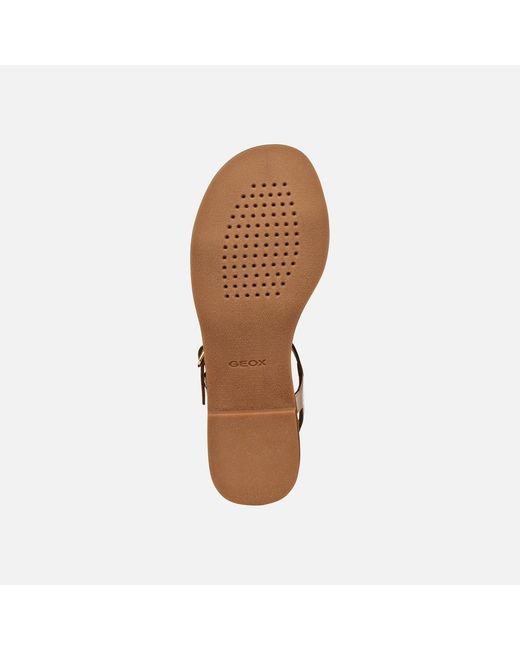 Geox Metallic Maddalusia C