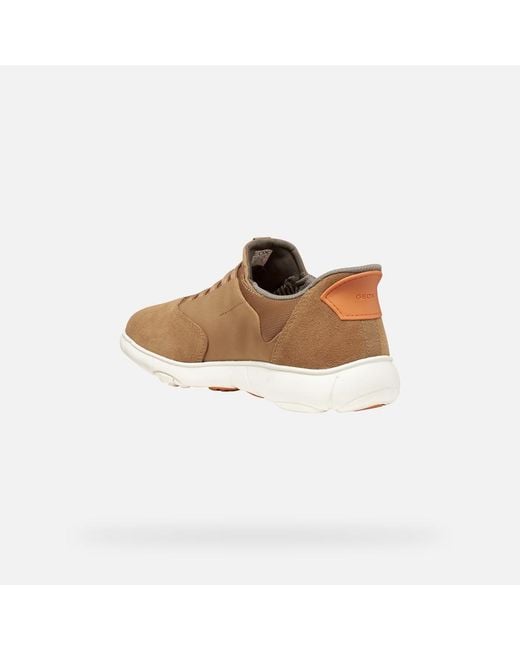 Geox Brown Nebula 2.0 Plus for men